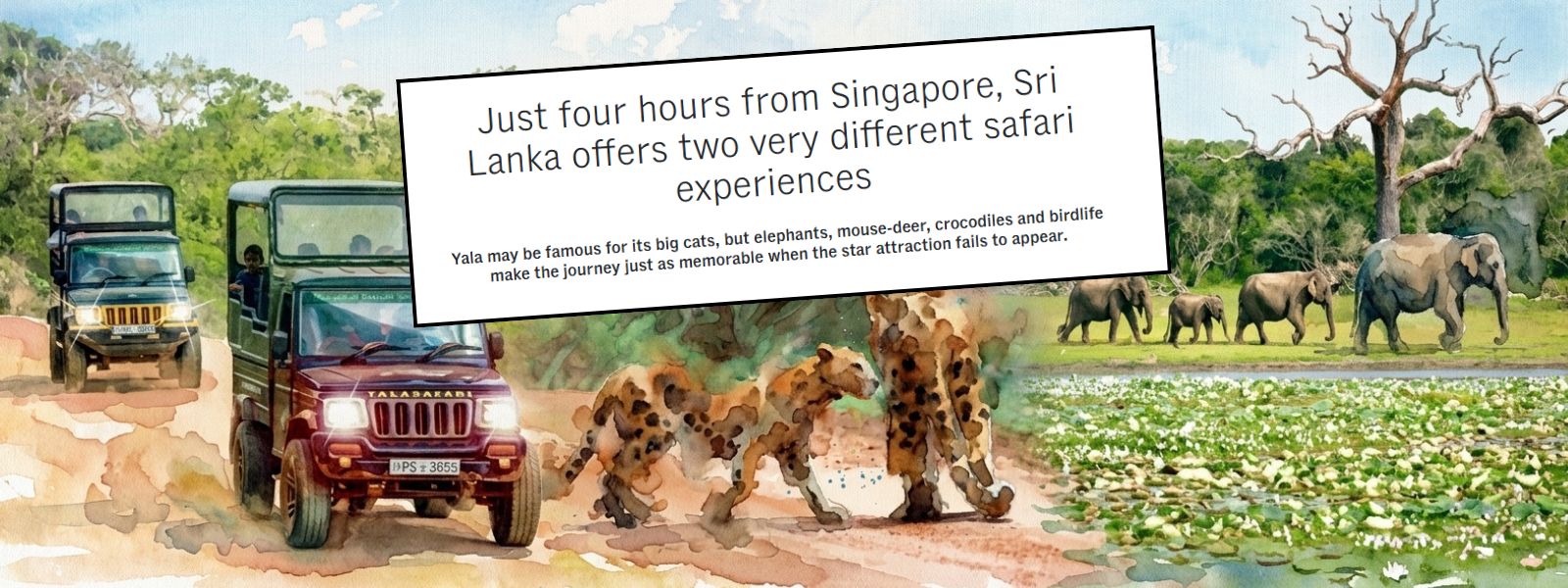 Sri Lanka's Wildlife Wonders Featured by CNA